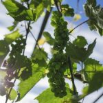 成人小视频 fywxrmfq