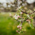 男女交插 yfbkj7s20